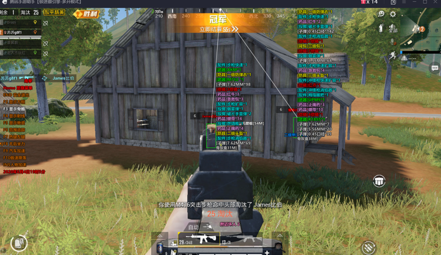 和平精英辅助【神眸】