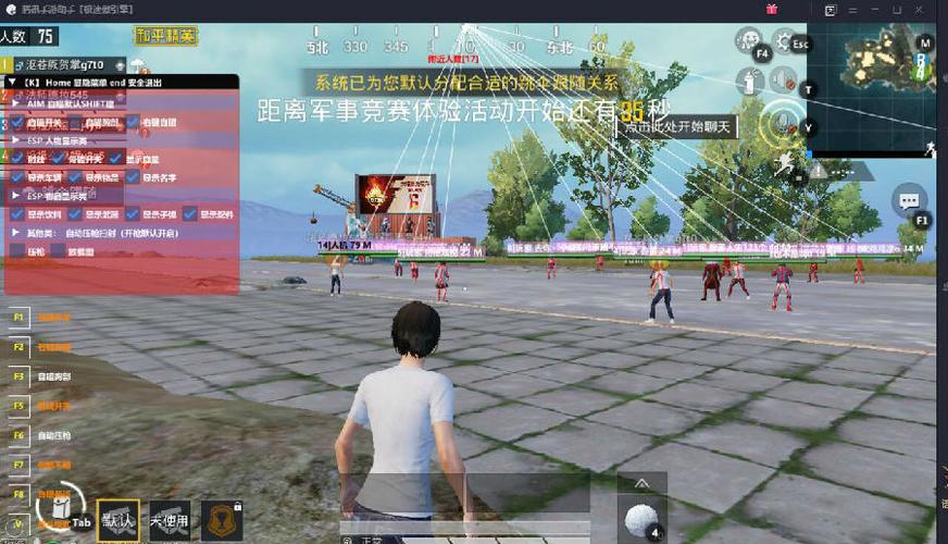 和平精英【正版ADC手搓】内核辅助